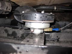 IMG_9815.JPG