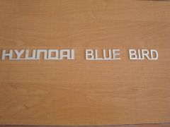 Hyundai Blue Bird.JPG