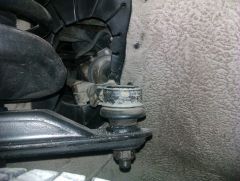 IMAG0329.jpg