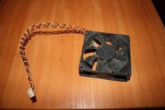 IMG_8624.JPG