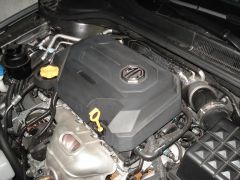 DSC02821.JPG