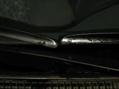 SANY0172.JPG