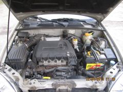 IMG_1236.JPG