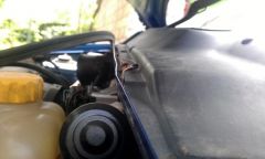 IMAG0310-1.jpg