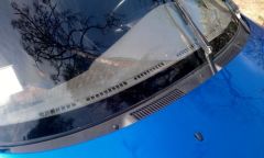 IMAG0295-1.jpg