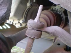 DSC03046.JPG