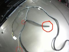FILE2390.JPG