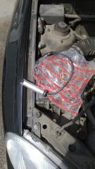 WP_20130514_005.jpg
