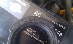 IMAG0091.jpg