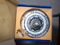 IMG_20130527_132437.jpg