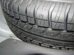 IMG_3505.JPG