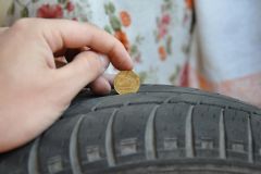 DSC_0423.JPG