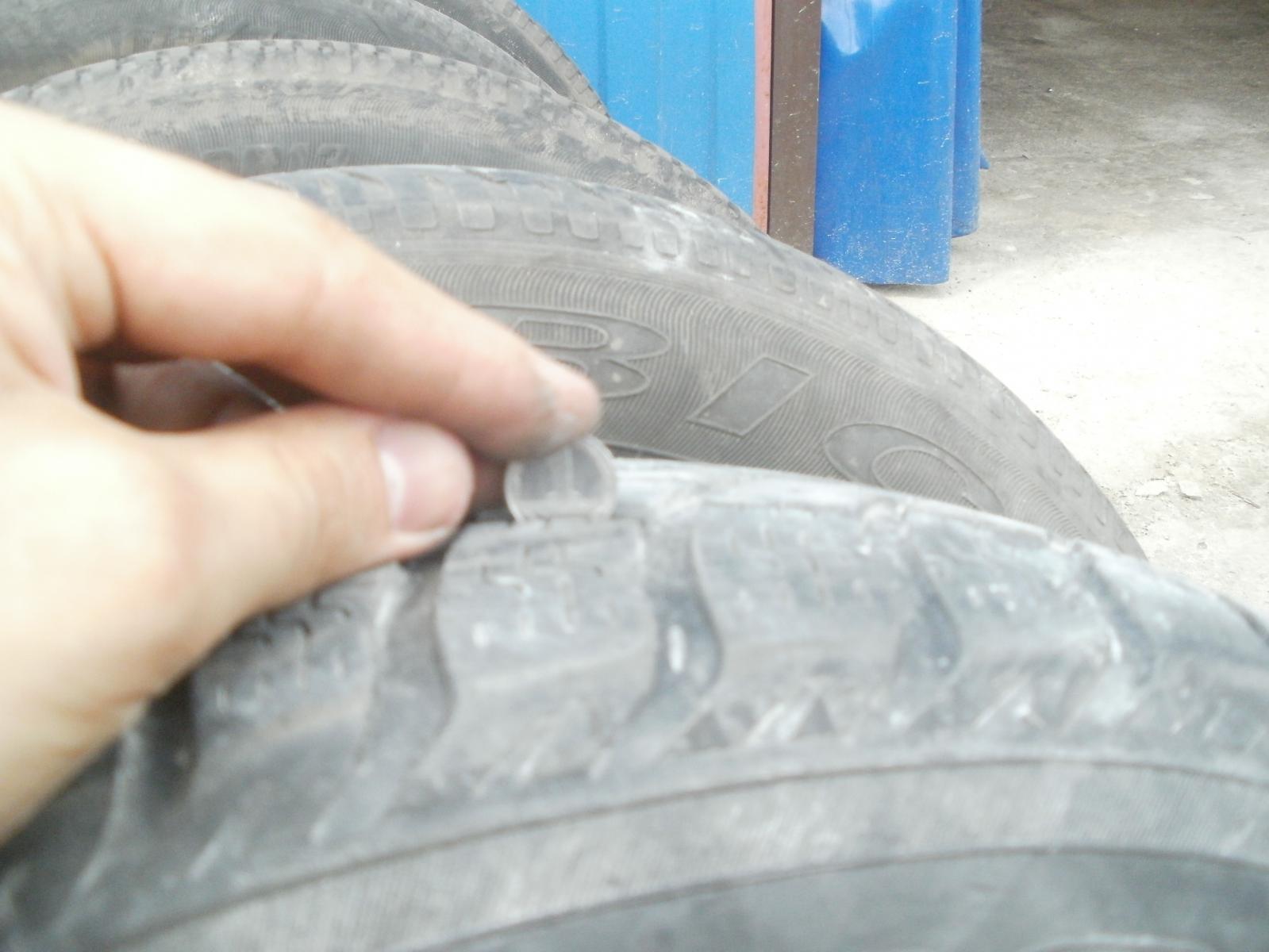 P1010125.JPG