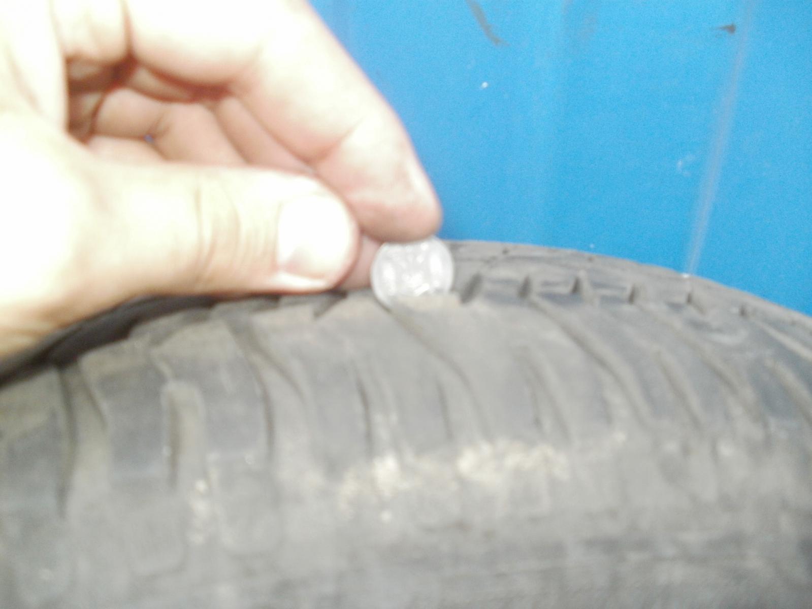 P1010109.JPG