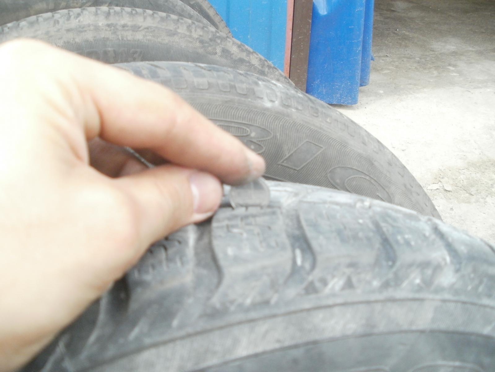 P1010124.JPG