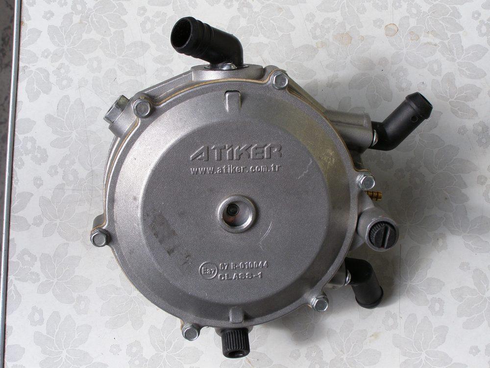 Mozgi-2.jpg