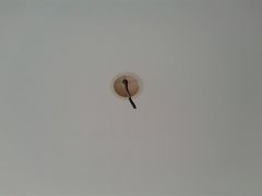 20130620_174927.jpg