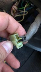 IMAG0574