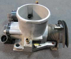 IMG 4937