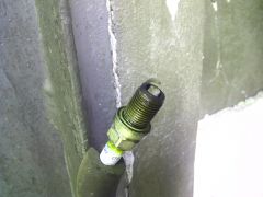 IMG 20140927 114627