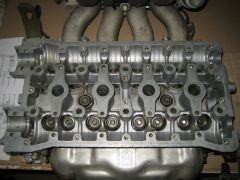 IMG 7797