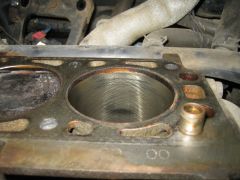 IMG 7766