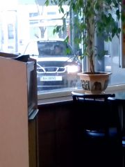 IMG 20140226 142207