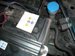 DSCN7081