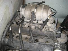 IMG 7145