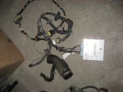 IMG 7154