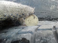 IMG 20130909 144652
