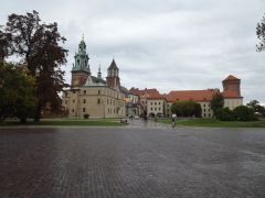 DSCF3847