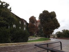 DSCF3841