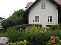 DSCF3178