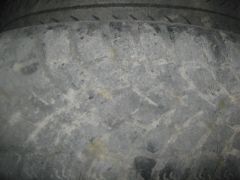 IMG 0339