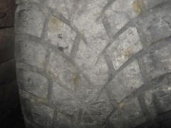 IMG 0336