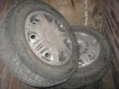 IMG 0337