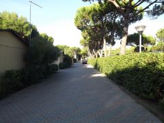 DSCF3322