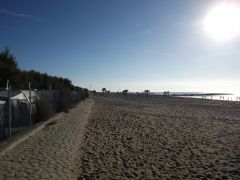 DSCF3347