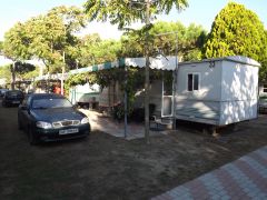 DSCF3319