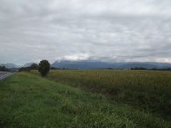 DSCF3593