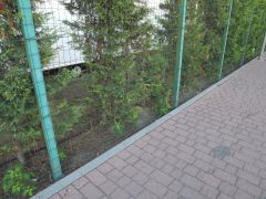 DSCF3339