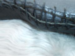 DSCN0247