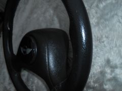 DSCN0263