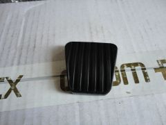 DSC09075.JPG