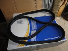 DSC08949.JPG