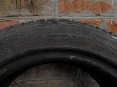 IMG 7485