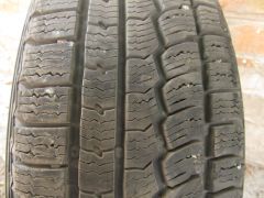 IMG 7491
