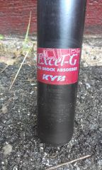 IMAG0878