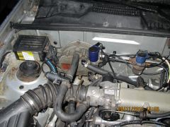 IMG 0420